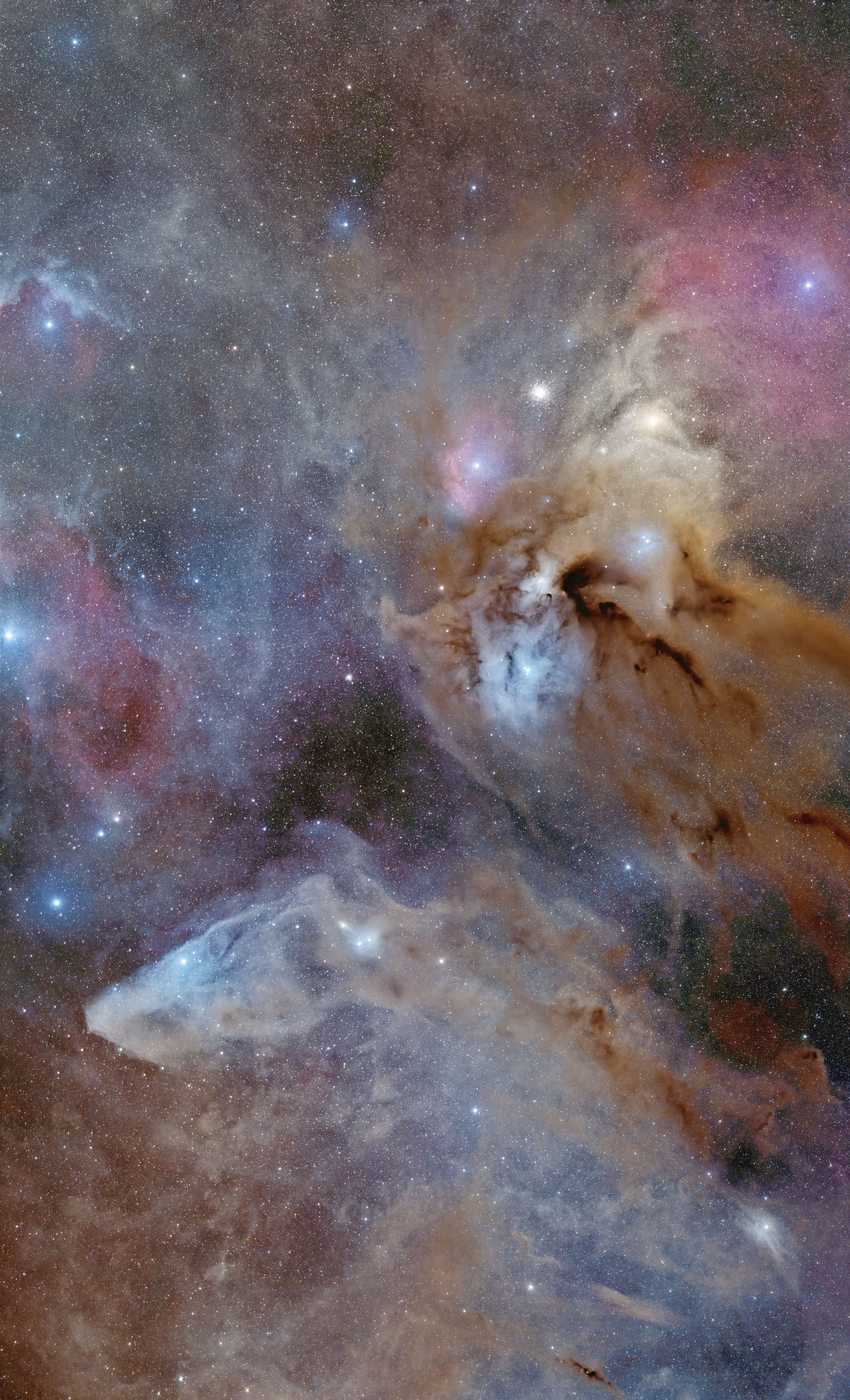 Mosaico de Rho Ophiuchi y Blue Horsehead